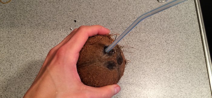Öffne die Kokosnuss
