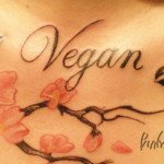 Die Vorteile von Veganismus